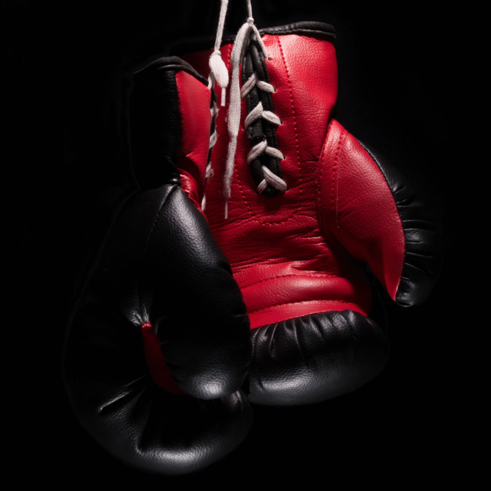 Boxing Gloves